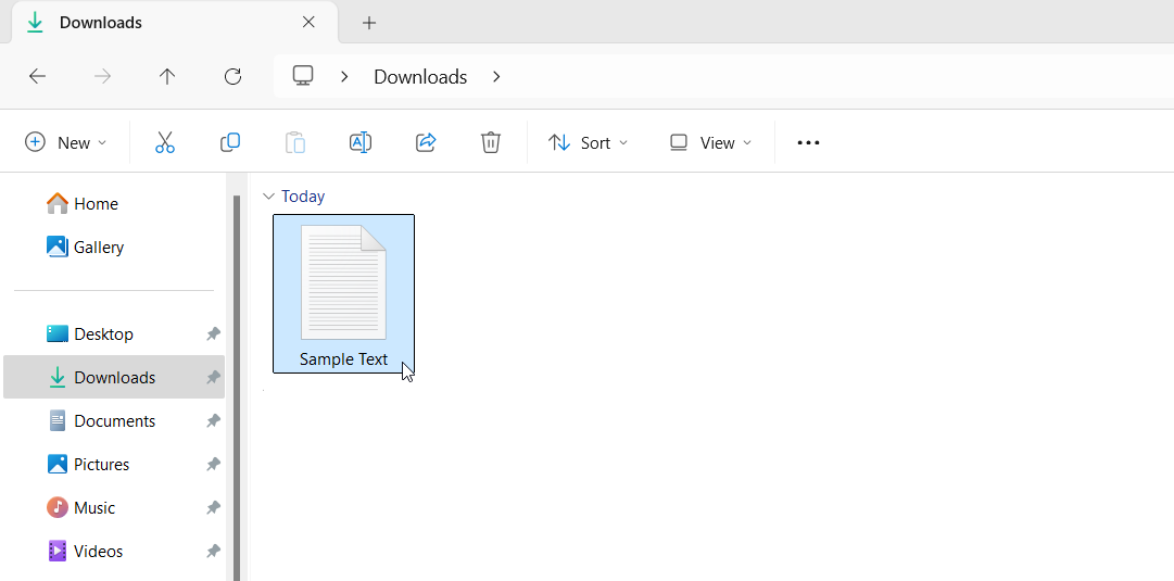 downloads folder